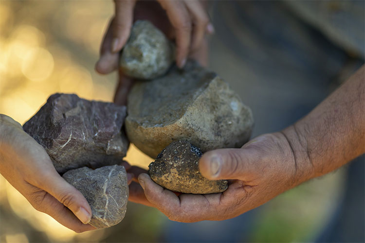 The Language of the Land