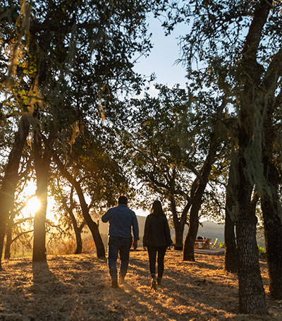 wine tasting and vineyard tour near me