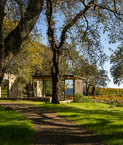 wine tasting and vineyard tour near me