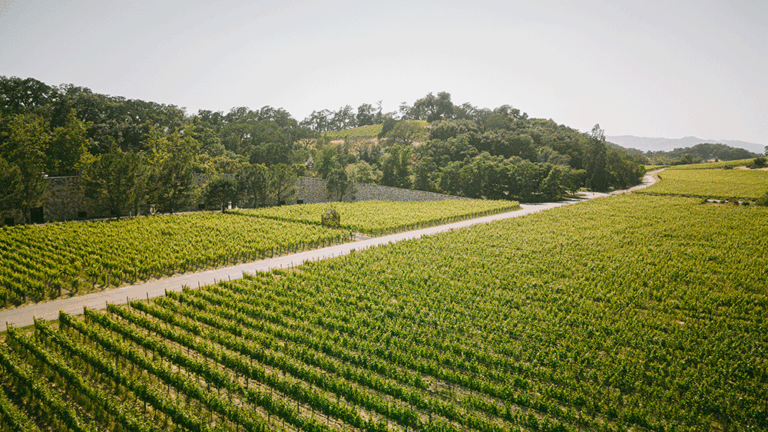 2022: A Year in Photos